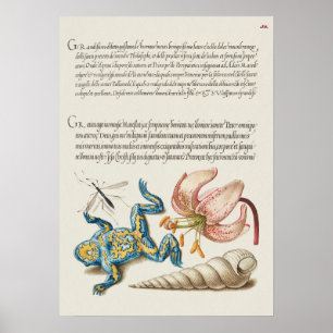 Poster de Ilustração Botânica Vintage