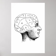 Poster de Ilustração da Anatomia Cabeça