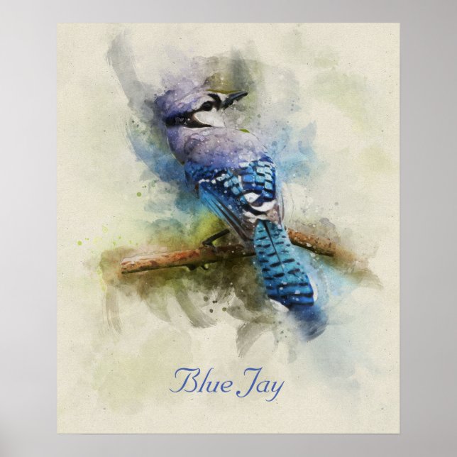 Poster de ilustração da aquarela azul-jay (Frente)