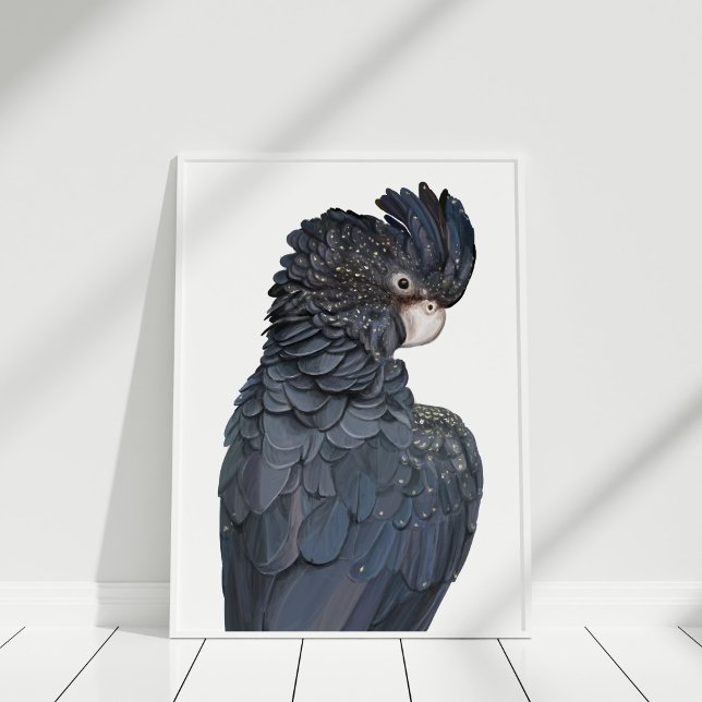 Poster de Ilustração de Cockatoo Negro Australiano (Australian Black Cockatoo Illustration Poster in white frame.)