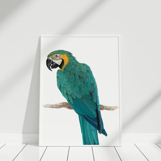 Poster de Ilustração de Mara Azul Tropical (Tropical Blue Macaw Illustration Poster in white frame on white wooden floor.)