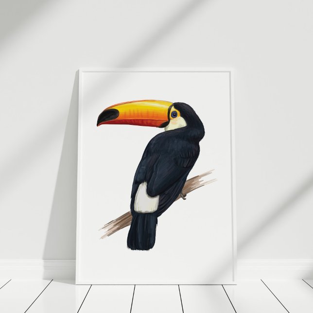 Poster de Ilustração desenhada com Pássaro Exótico (Toucan Exotic Bird Hand drawn Illustration Poster in a white frame.)