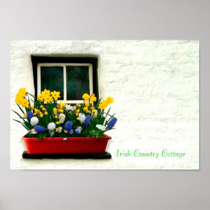 Poster de Imagens Irlandesas