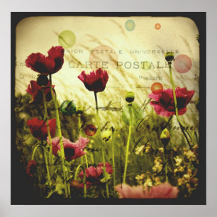 Poster de impressão