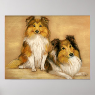 Poster De "impressão da arte do cão dois Sheepdogs de