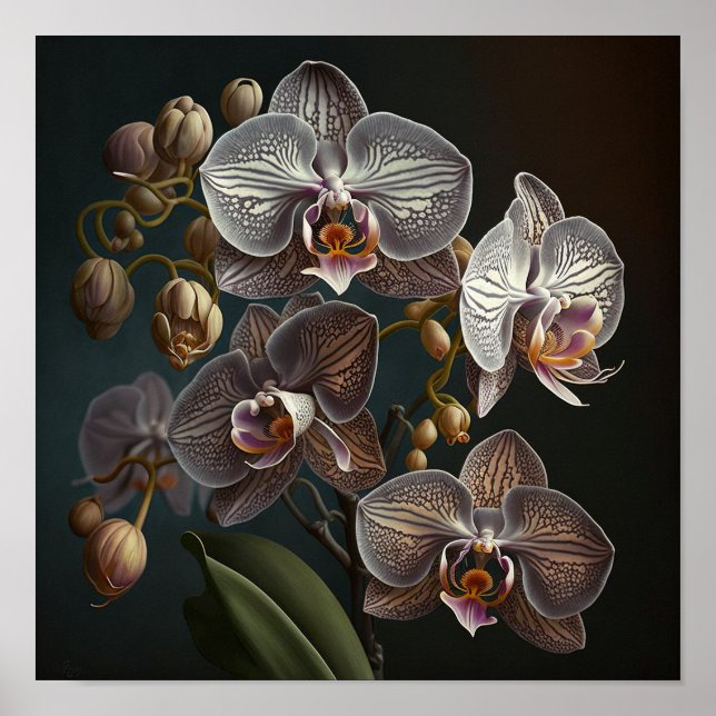Poster de Impressão das Flores de Orquídea Branca (Frente)