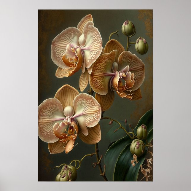 Poster de Impressão das Flores de Orquídea Branca (Frente)