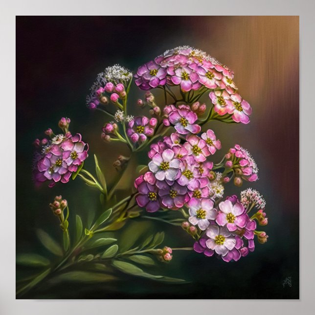 Poster de Impressão de Arte de Flor Alyssum Rosa (Frente)