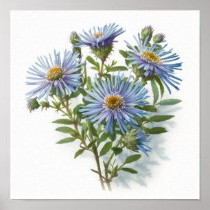 Pôster de Impressão de Arte de Flor de Áster Azul
