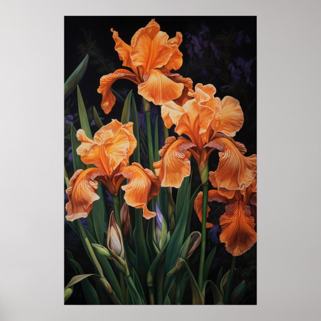 Pôster de Impressão de Arte de Flor de Íris Laranj (Frente)