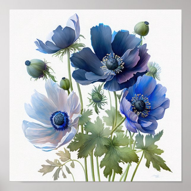 Pôster de Impressão de Arte de Flores de Anêmona A (Frente)