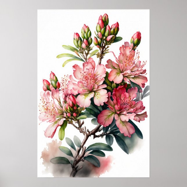 Pôster de Impressão de Arte de Flores de Azaléia R (Frente)