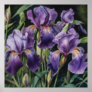 Pôster de Impressão de Arte de Flores de Íris Roxa