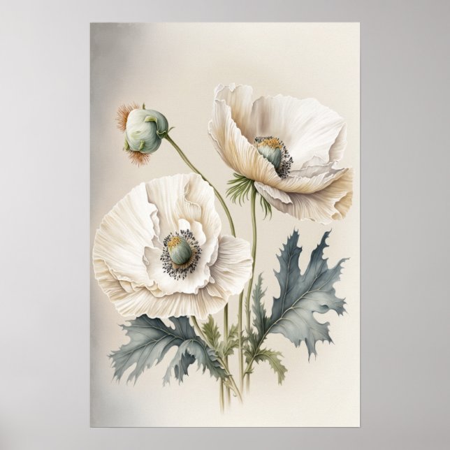 Pôster de Impressão de Arte de Flores de Papoula B (Frente)