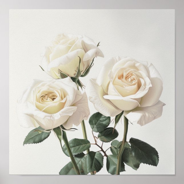 Pôster de Impressão de Arte de Flores de Rosas Bra (Frente)