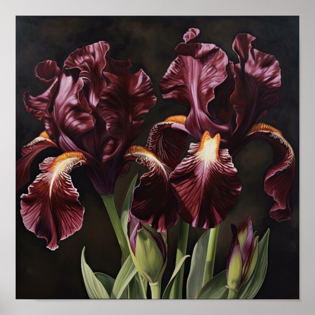 Pôster de Impressão de Arte de Flores Íris Marrom (Frente)