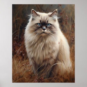 Poster de Impressão de Arte de Gato de Himalaia
