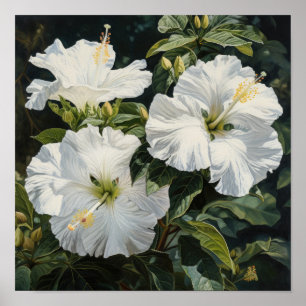 Poster de Impressão de Flor Branco Hibiscus