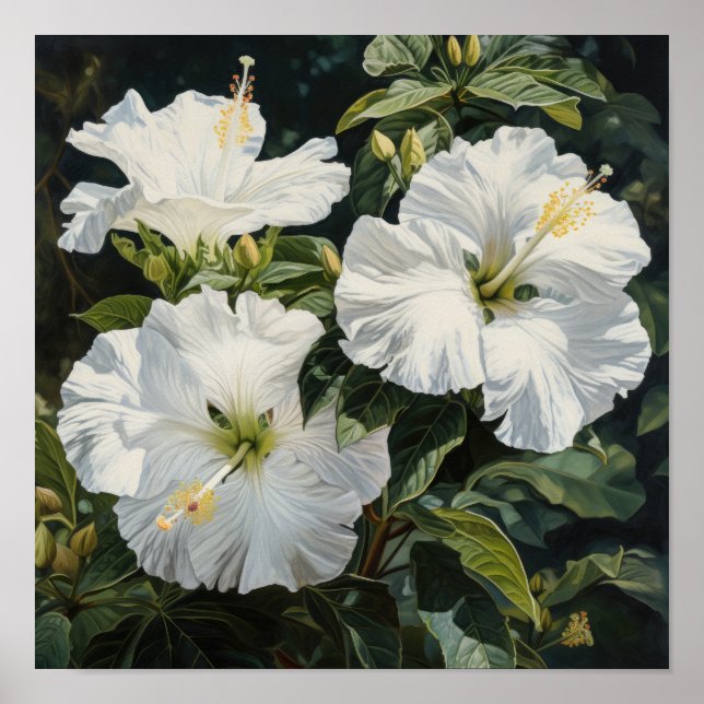 Poster de Impressão de Flor Branco Hibiscus (Frente)