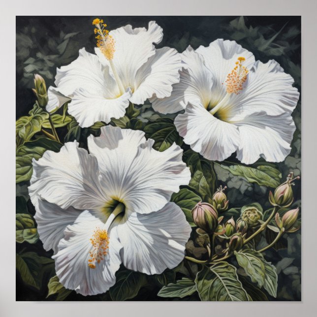 Poster de Impressão de Flor Branco Hibiscus (Frente)