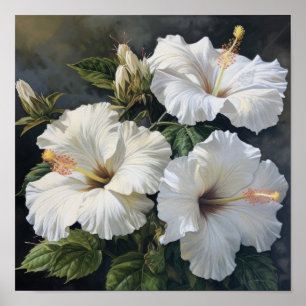 Poster de Impressão de Flor Branco Hibiscus
