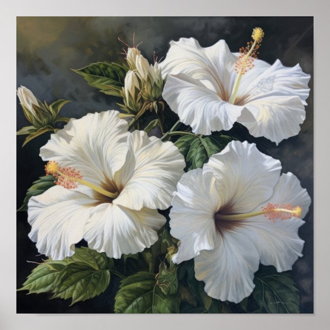 Poster de Impressão de Flor Branco Hibiscus (Frente)