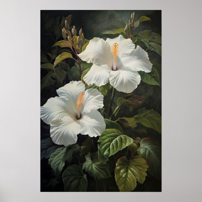 Poster de Impressão de Flor Branco Hibiscus (Frente)