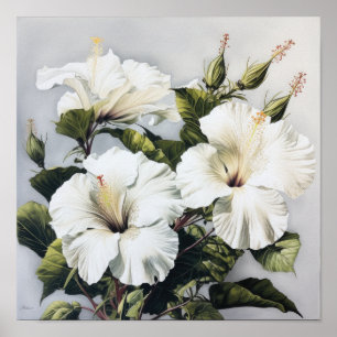 Poster de Impressão de Flor Branco Hibiscus