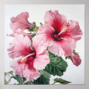 Poster de Impressão de Flor de Hibiscus Rosa