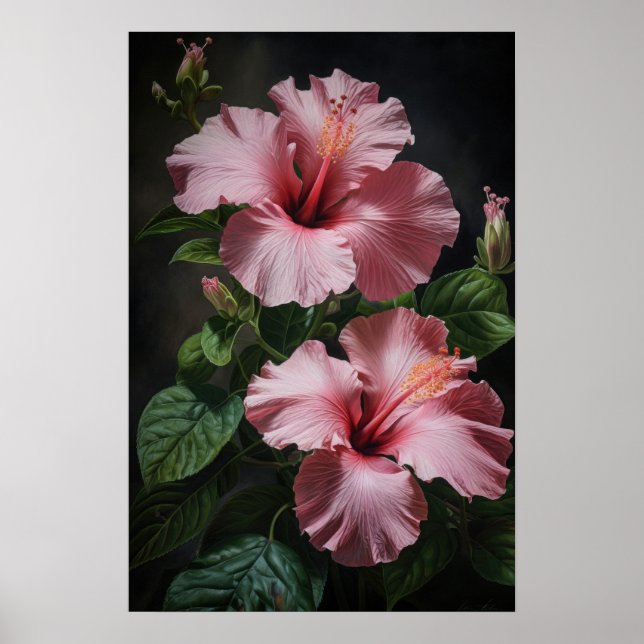 Poster de Impressão de Flor de Hibiscus Rosa (Frente)