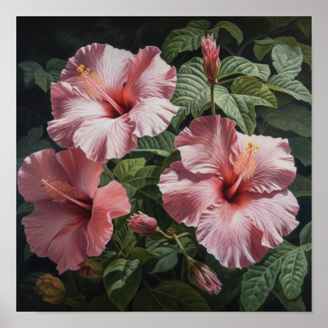 Poster de Impressão de Flor de Hibiscus Rosa (Frente)