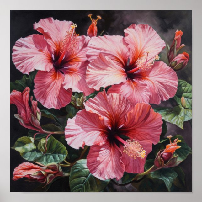 Poster de Impressão de Flor de Hibiscus Rosa (Frente)