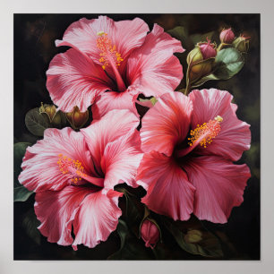 Poster de Impressão de Flor de Hibiscus Rosa
