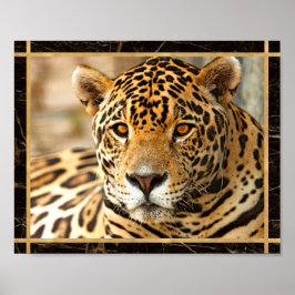 Poster de Impressão de Imagem de Foto Jaguar
