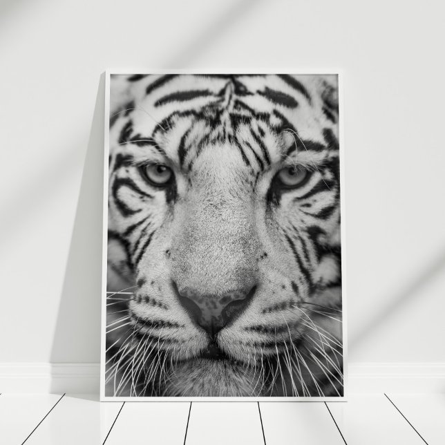 Poster de Impressão de Tigre Preto e Branco (Black and White Tiger Print Poster in white frame on white wooden floor.)