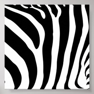 Poster de Impressão Zebra