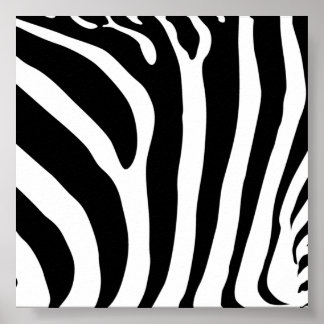 Poster de Impressão Zebra