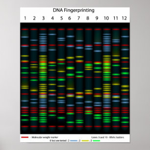 POSTER de impressões digitais de DNA