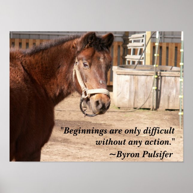 Poster de início (Frente)