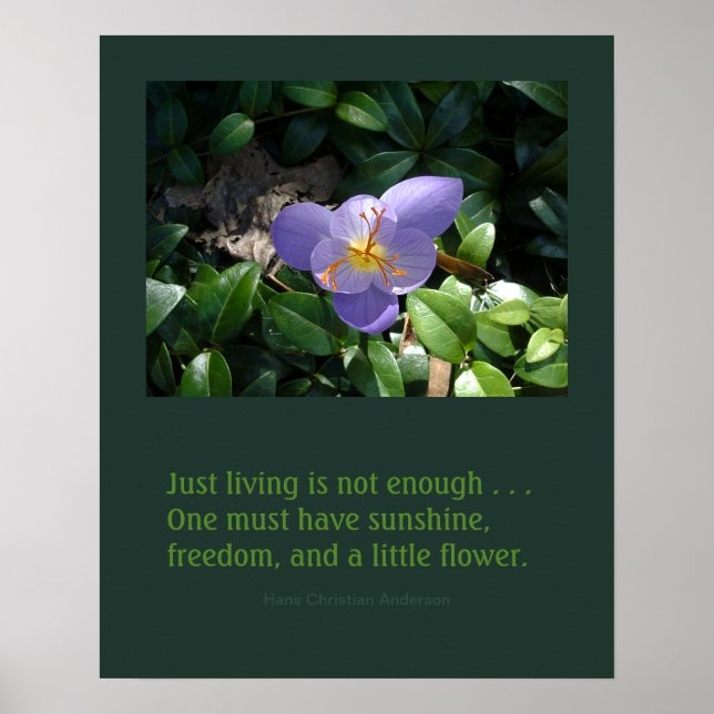 Poster de inspiração do Jardim Crocus (Frente)
