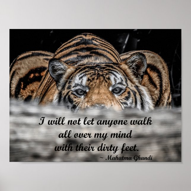 Poster de inspiração do Tigre de Cobertura (Frente)