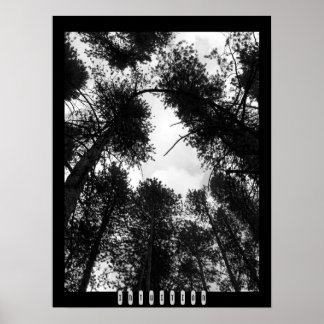 Poster de Intuição