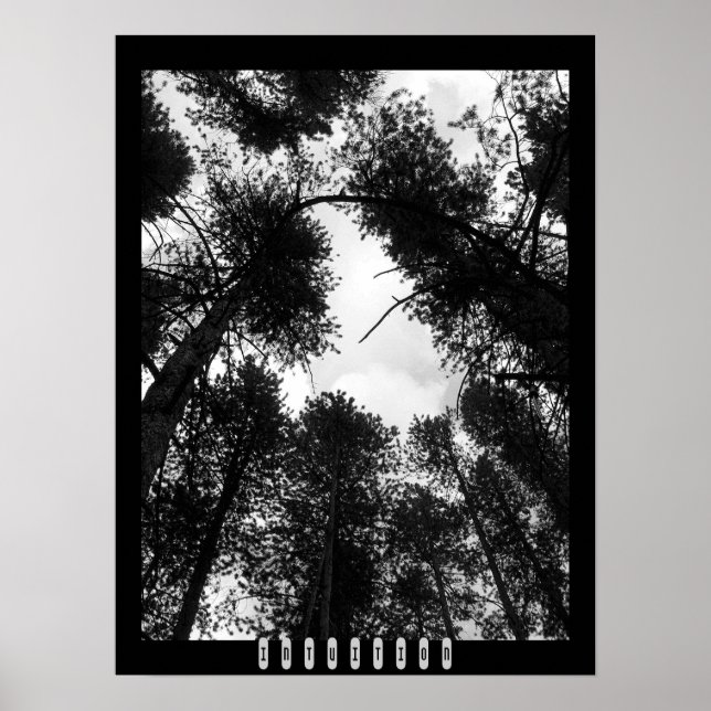 Poster de Intuição (Frente)