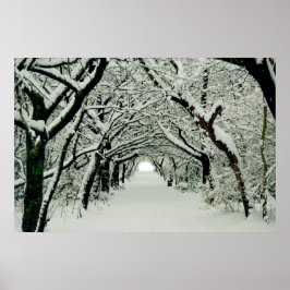 Poster de inverno