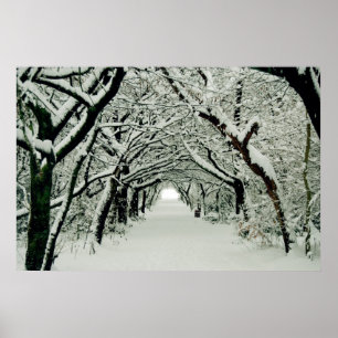 Poster de inverno