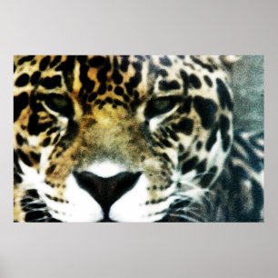 Poster de Jaguar