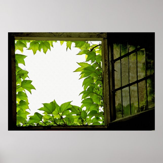 Poster de janela (Frente)