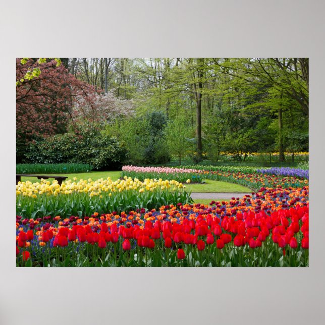 Poster de jardim (Frente)