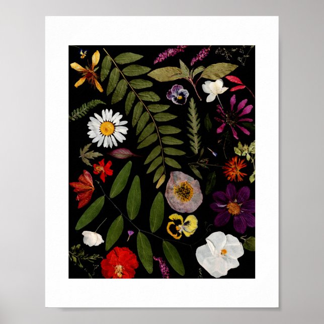 Poster de Jardim de Algodão de Arte Flor Real (Frente)