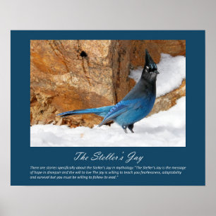Poster de Jay Steller